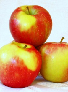 la-consommation-de-pommes-eloignerait-pas-forcement-les-medecins-07042015195